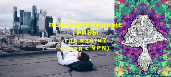 ALPHA-PVP Гусев
