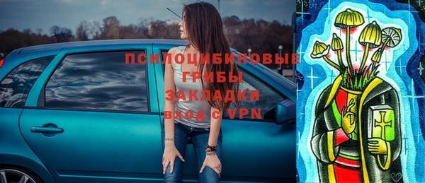 прущая мука Гусь-Хрустальный