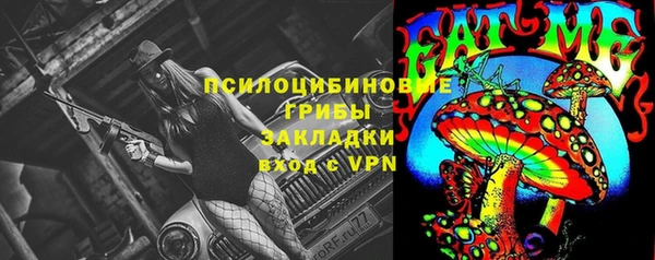 ALPHA-PVP Гусев