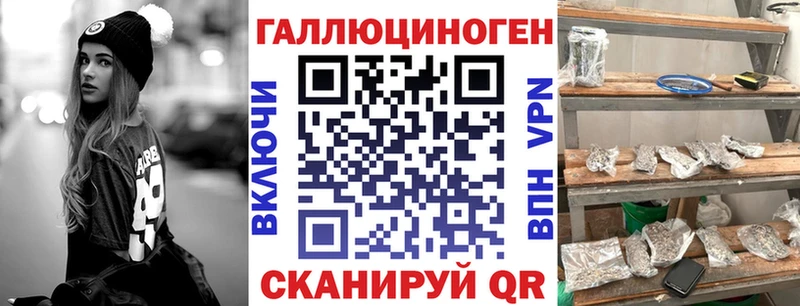 как найти закладки  Новохопёрск  Галлюциногенные грибы Magic Shrooms 